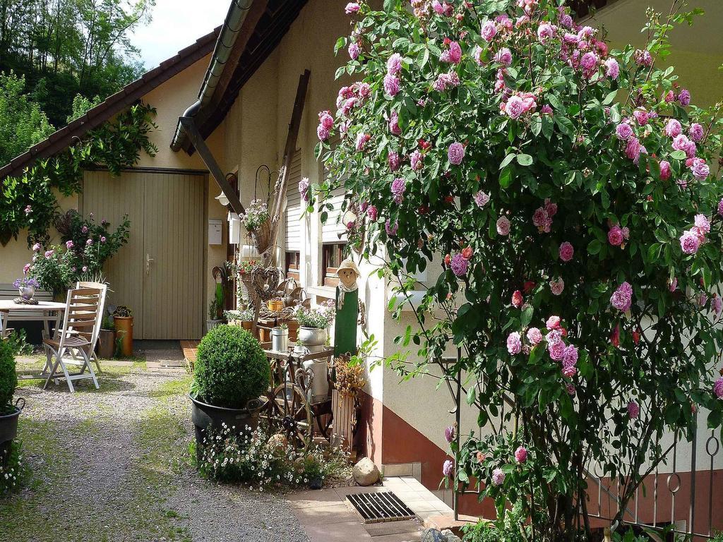 أوبناو Ferienwohnung Hugelgarten المظهر الخارجي الصورة